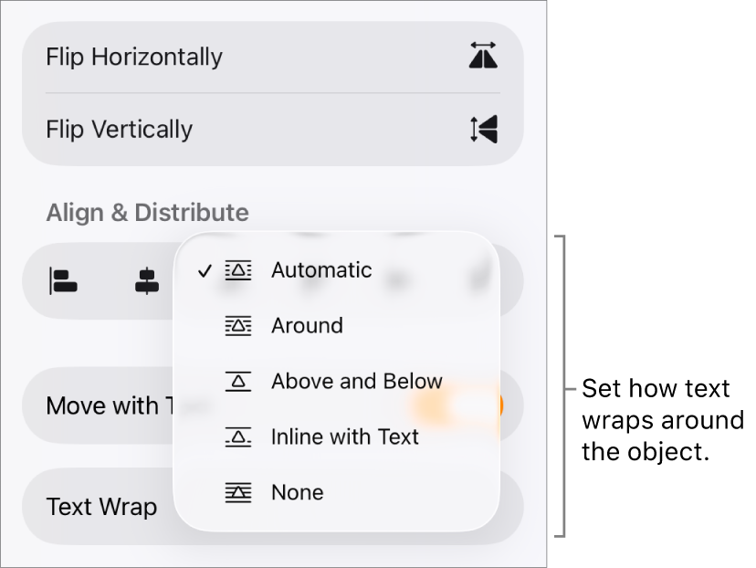 The Format controls with the Arrange tab selected. Below it are Text Wrap controls with Move to Back/Front, Move with Text and Text Wrap.