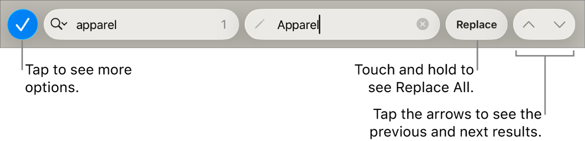 The Find & Replace controls above the keyboard with callouts to the Search Options, Replace, Go Up and Go Down buttons