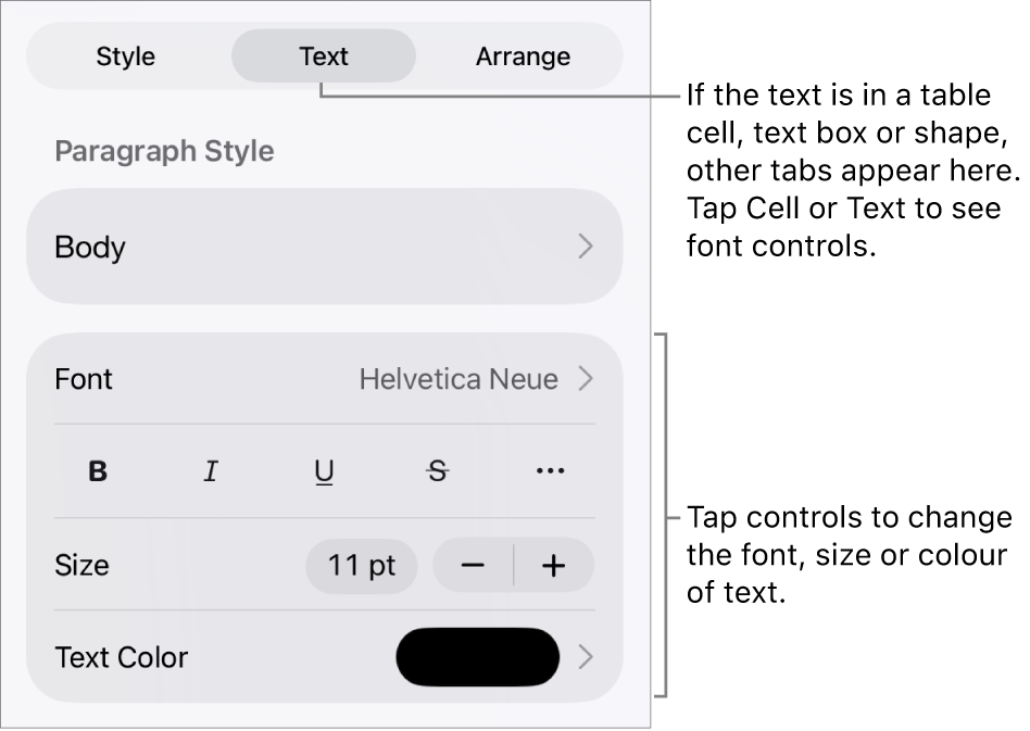 Text controls in the Format menu for setting paragraph and character styles, font, size and colour.