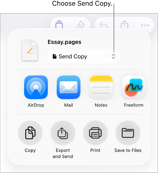 The Share menu with Send Copy selected at the top.