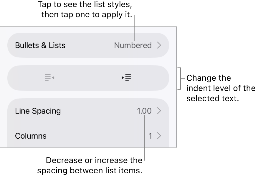 The Bullets & Lists section of the Format controls with callouts to Bullets & Lists, outdent and indent buttons, and line spacing controls.