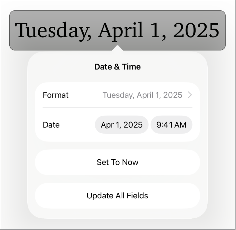 The Date & Time controls showing a pop-up menu for date Format, and Set to Now and Update All Fields buttons.