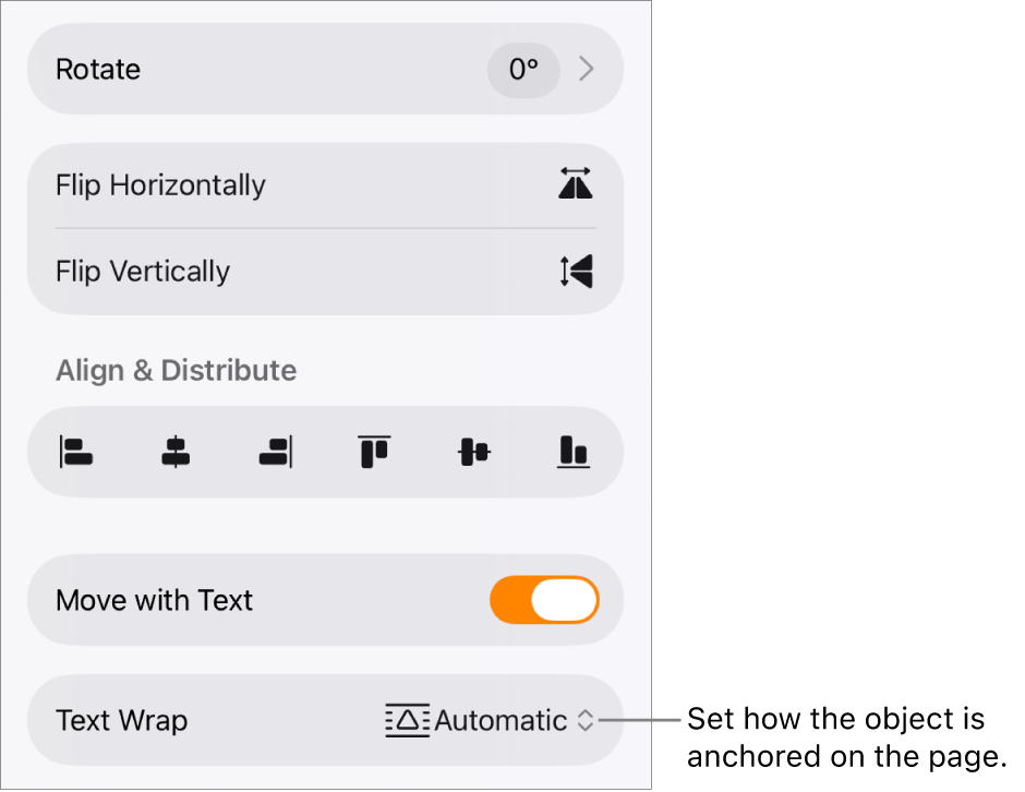 The Format controls with the Arrange tab selected and controls for Move to Back/Front, Move with Text, and Text Wrap.