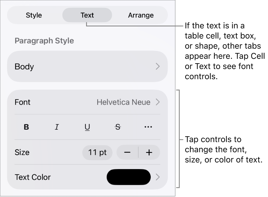 Text controls in the Format menu for setting paragraph and character styles, font, size, and color.