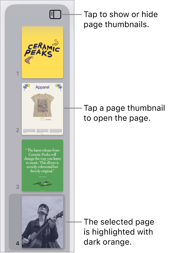 Page Thumbnails view on the left side of the screen with one page selected. The View Options button is above the thumbnails.