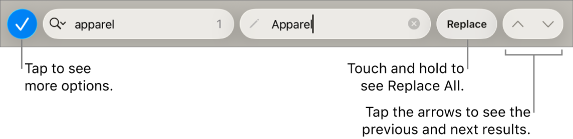 The Find & Replace controls above the keyboard with callouts to the Search Options, Replace, Go Up, and Go Down buttons