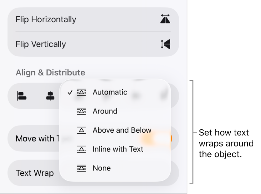 The Format controls with the Arrange tab selected. Below it are Text Wrap controls with Move to Back/Front, Move with Text, and Text Wrap.