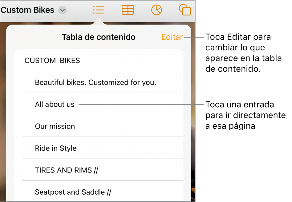 La visualización de la tabla de contenido con sus elementos en una lista. El botón Edición se encuentra en la esquina superior derecha.