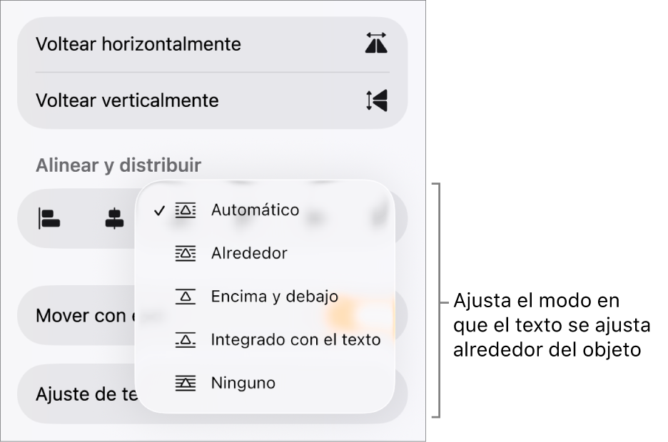 Los controles de formato con la pestaña Orden seleccionada. Debajo están los controles Ajuste de texto con las opciones Mover al fondo/al frente, Mover con texto y Ajuste de texto.