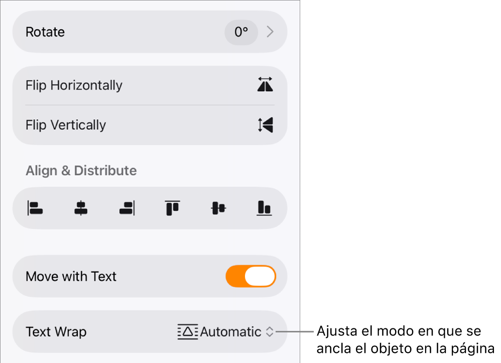 Los controles de formato con la pestaña Disposición seleccionada y controles para “Mover a capa inferior/superior”, “Mover con el texto” y “Ajuste de texto”.