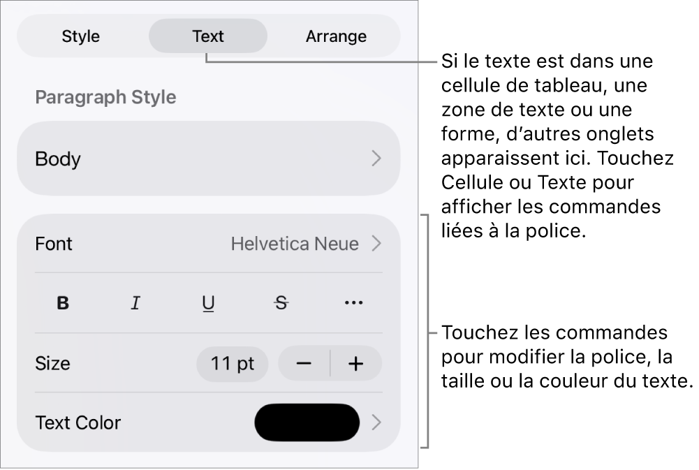 Commandes de texte du menu de format permettant de définir les styles, la police, la taille et la couleur des paragraphes et des caractères.