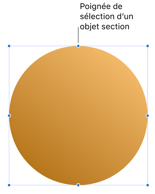 Un objet avec des poignées de sélection.