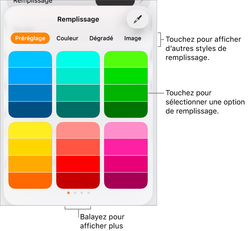Options de remplissage de l’onglet Style du bouton Format.