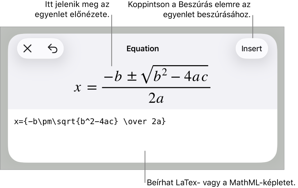 Az Egyenlet párbeszédpanel, amelyen egy, a MathML-parancsok használatával írt egyenlet, felül pedig az egyenlet előnézete látható.