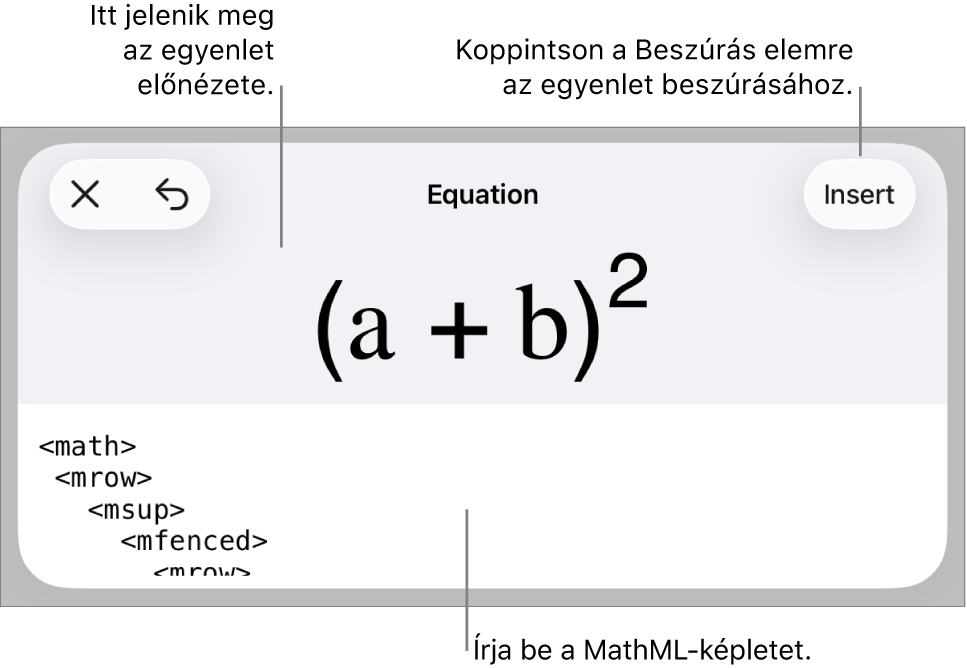 Az Egyenlet párbeszédpanel, amelyen egy, a MathML-parancsok használatával írt egyenlet, felül pedig az egyenlet előnézete látható.