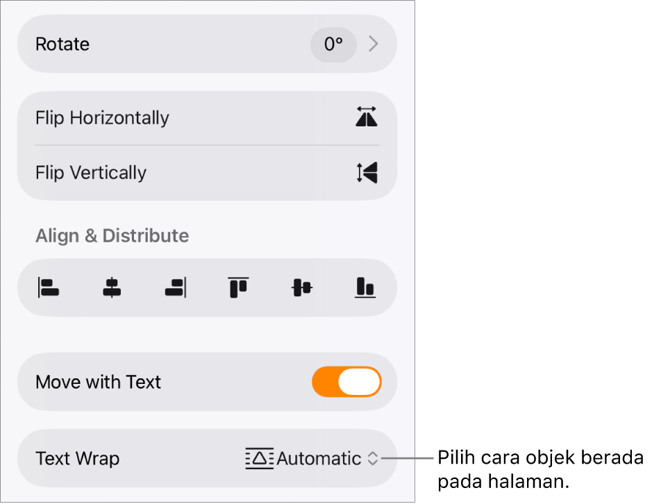 Kontrol Format dengan tab Susun dipilih dan kontrol untuk Pindahkan ke Belakang/Depan, Pindahkan dengan Teks, dan Pembungkusan Teks.