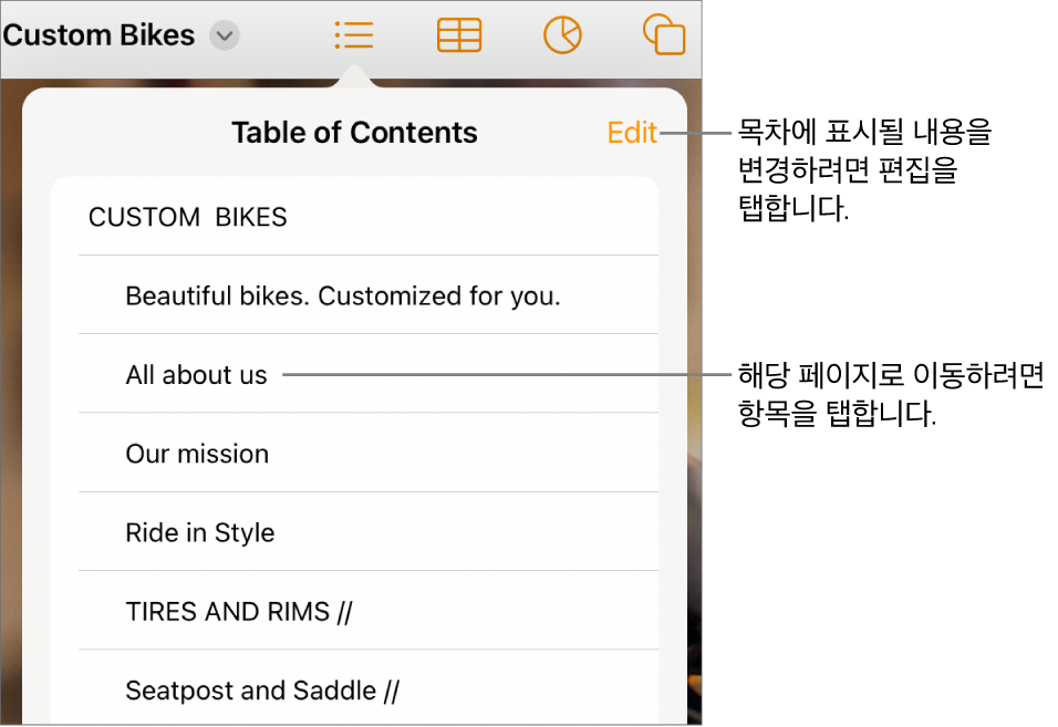 목록에 항목이 있는 목차 보기. 편집 버튼은 보기 오른쪽 상단 모서리에 있습니다.