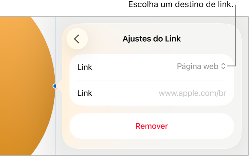 Controles de “Ajustes do Link” com Página Web selecionado e o botão Remover na parte inferior.