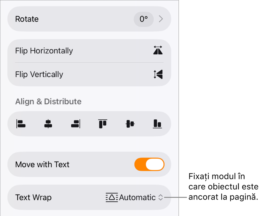 Comenzile Format cu fila Aranjare selectată și comenzile pentru Mutați în spate/față, Mutare odată cu textul și Încadrare text.