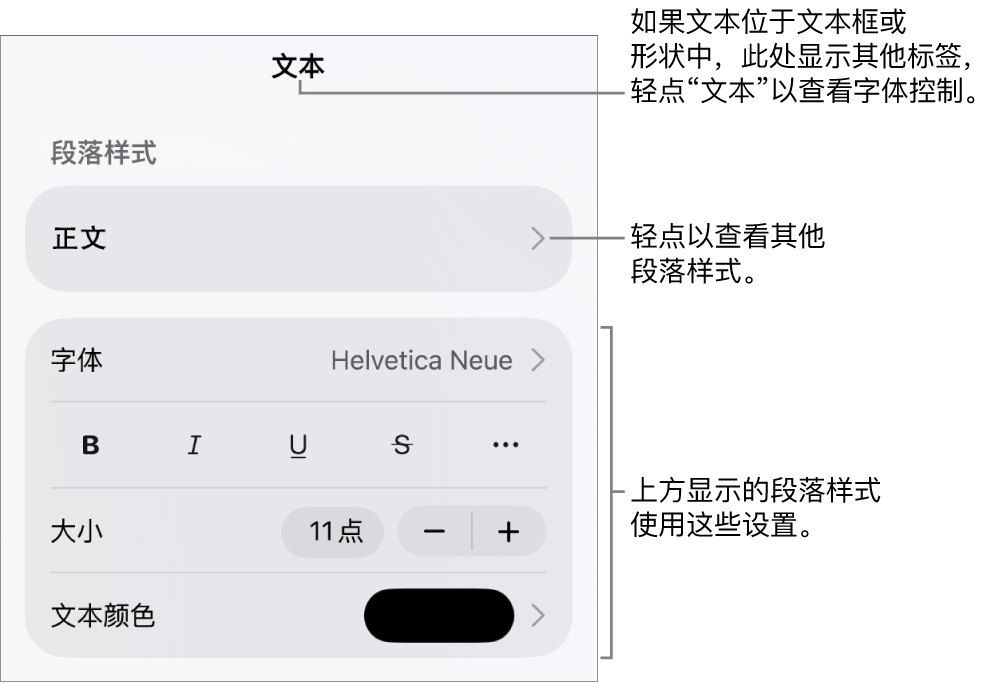 显示文本控制的“格式”菜单，用于设定段落和字符样式、字体、大小和颜色。