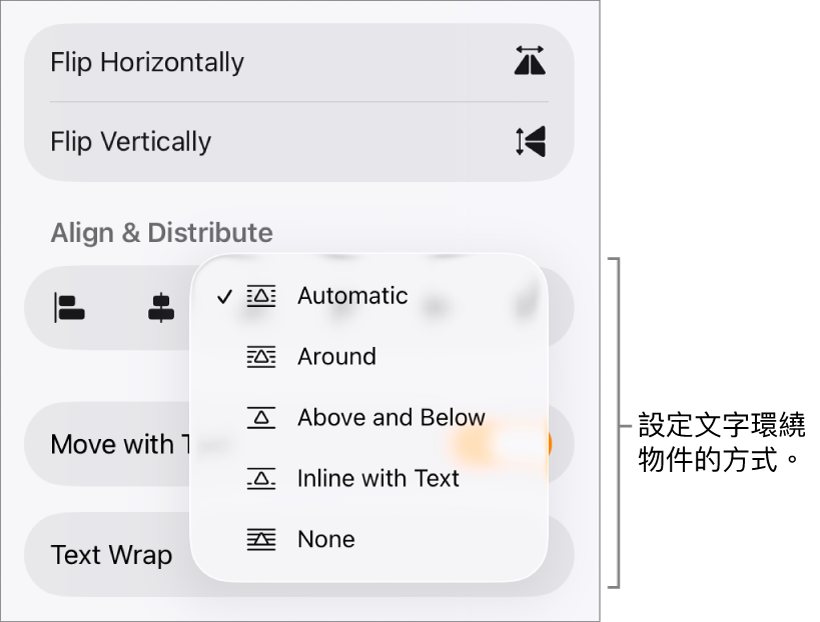 「格式」控制項目中已選擇「排序」分頁。其下方為「文字環繞」控制項目，其包含「移至最後/最前」、「隨文字移動」和「文字環繞」。