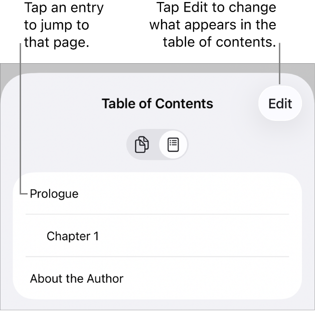The table of contents view with headings in a list. An Edit button is in the top-right corner and, at the bottom, are the Page, Thumbnail and Table of Contents buttons.