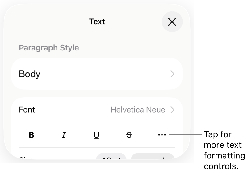 The Text tab of the Format controls, with a callout to the More Text Options button.
