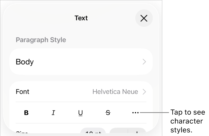 The Format controls with Bold, Italic, Underline, Strikethrough and More Text Options buttons.