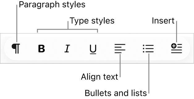 The Quick Format bar, showing icons for paragraph styles, type styles, text alignment, bullets and lists and inserting elements.