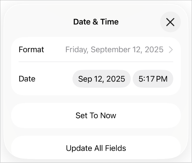 The Date & Time controls showing a pop-up menu for date Format, and Set to Now button and Update All Fields buttons.