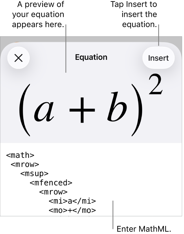 The Equation dialogue, showing an equation written using MathML commands, and a preview of the formula above.