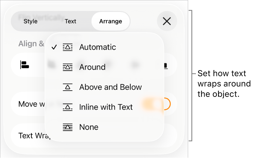 The Text Wrap controls with settings for Automatic, Around, Above and Below, Inline with Text, and None.