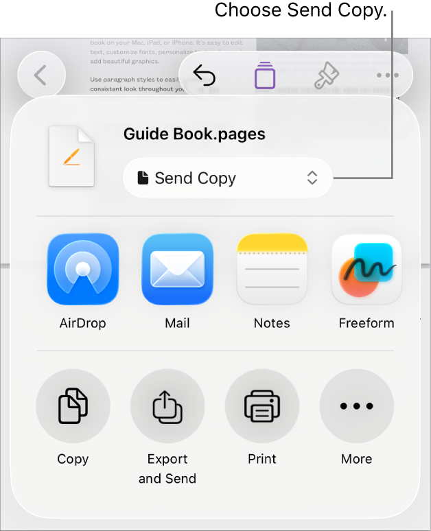 The Share menu with Send Copy selected at the top.