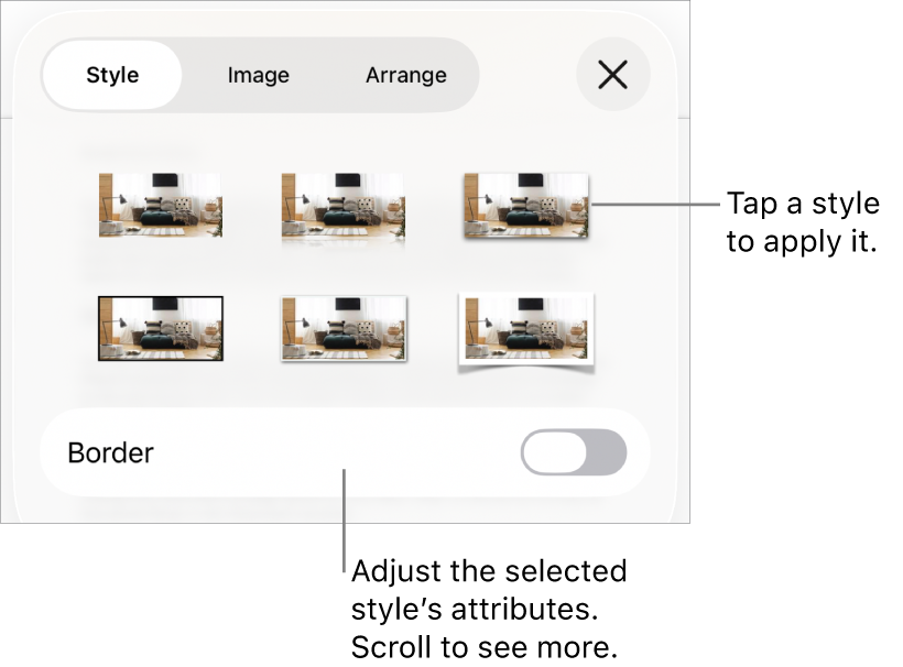 The Style of the Format menu, with object styles at the top and a control below them to change the border.