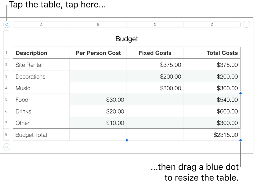 A selected table with blue dots for resizing.