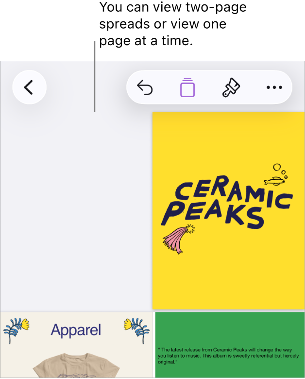 A document with pages viewed as two-page spreads.
