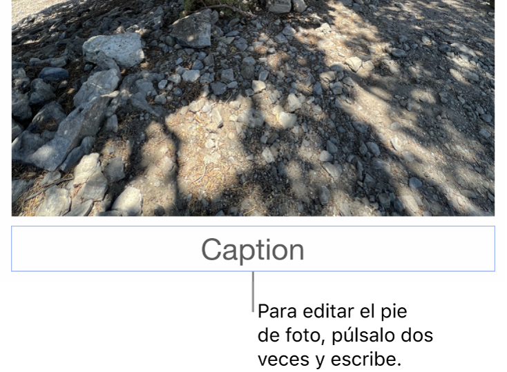 Debajo de una foto aparece el marcador de posición del pie de foto; un contorno azul que rodea el campo de pie de foto indica que está seleccionado.