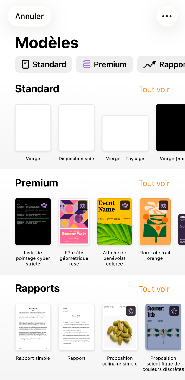 L’écran de bienvenue de Pages avec les options « Commencer à écrire » et « Choisir un modèle » en haut, et les documents récents affichés en bas.
