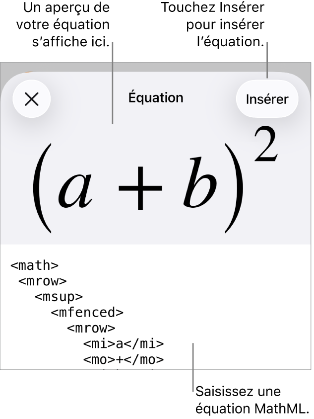 Zone de dialogue Équation, affichant une équation composée à l’aide des commandes MathML, et un aperçu de la formule au-dessus.