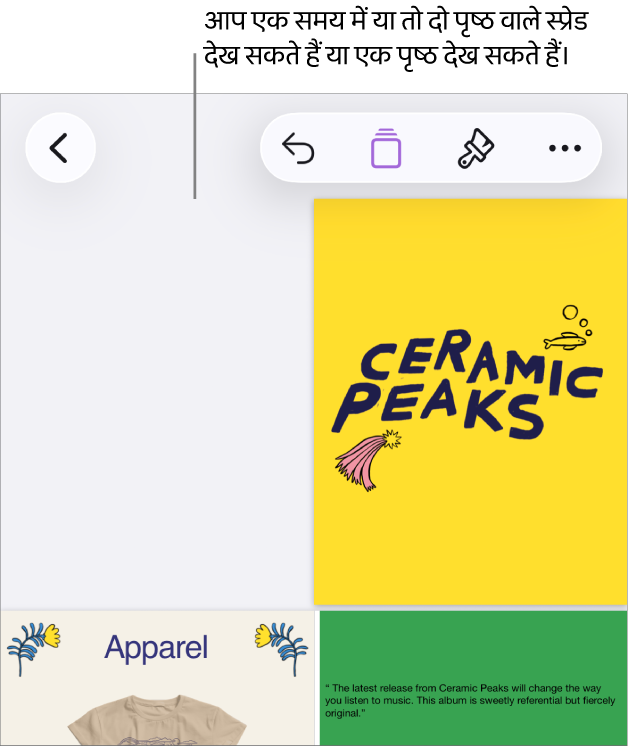 दस्तावेज़, जिसमें पृष्ठों में फैले हुए पृष्ठ दिखाई दे रहे हैं।