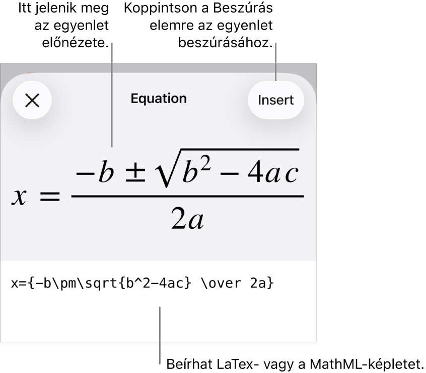 Az Egyenlet párbeszédpanel, amelyen egy, a MathML-parancsok használatával írt egyenlet, felül pedig az egyenlet előnézete látható.
