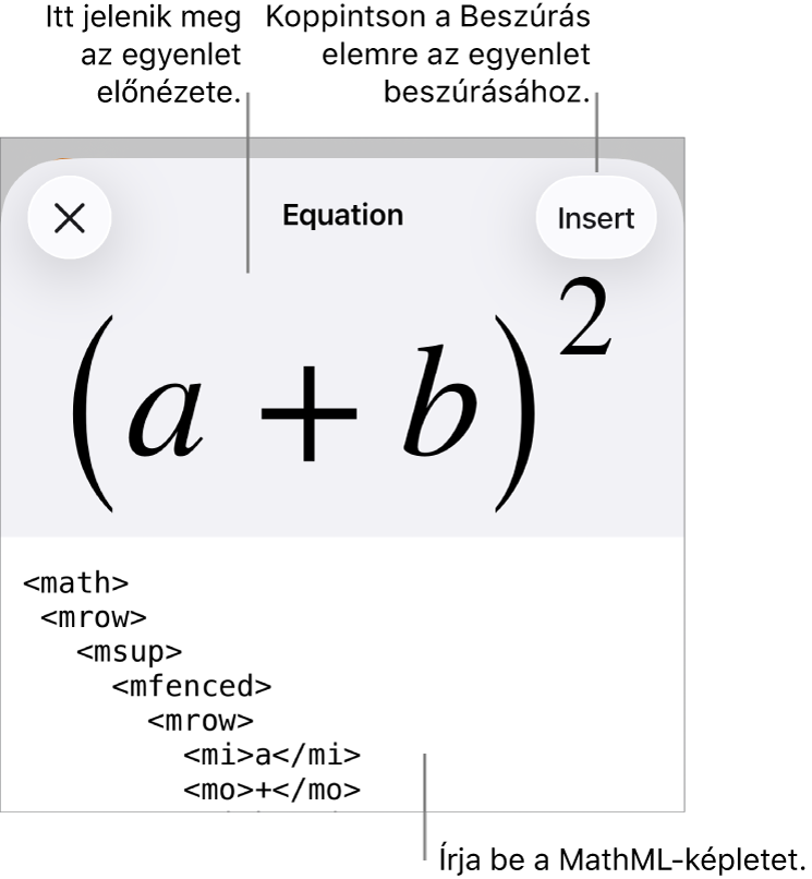 Az Egyenlet párbeszédpanel, amelyen egy, a MathML-parancsok használatával írt egyenlet, felül pedig az egyenlet előnézete látható.