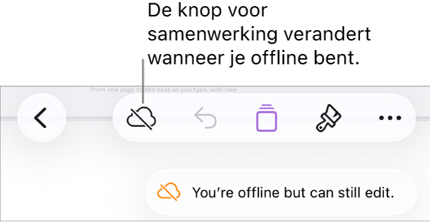 De knoppen boven in het scherm, met de knop voor samenwerking die is veranderd in een wolk met een schuine streep. De volgende melding staat op het scherm: 'Je bent offline, maar je kunt nog wel wijzigingen aanbrengen.'
