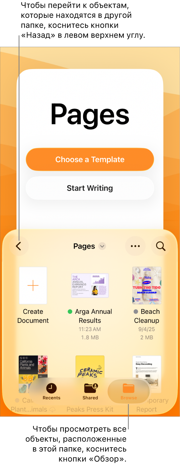 Режим просмотра в менеджере документов. В левом верхнем углу отображается ссылка на местоположение, под ней находится поле поиска. В правом верхнем углу находятся кнопки «Добавить документ» и «Еще». Внизу экрана находятся: кнопка «Недавние» и кнопка «Обзор».