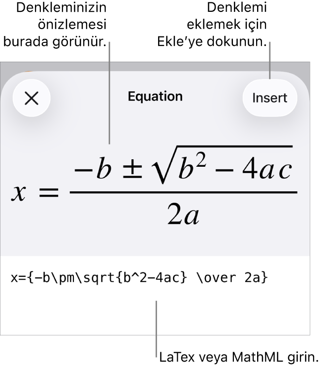 MathML komutları kullanılarak yazılmış bir denklemi ve onun üstünde formülün önizlemesini gösteren Denklem sorgu kutusu.
