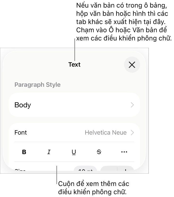 Các điều khiển văn bản trong menu Định dạng để đặt kiểu, phông chữ, kích cỡ và màu của đoạn và ký tự.