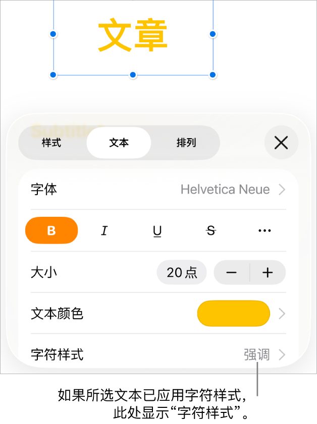 “颜色”控制下方的“文本”格式控制和“字符样式”。带星号的字符样式“无”。