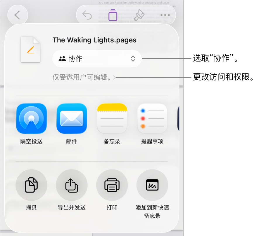 “共享”菜单,顶部已选中“协作”,下方是访问和权限设置。