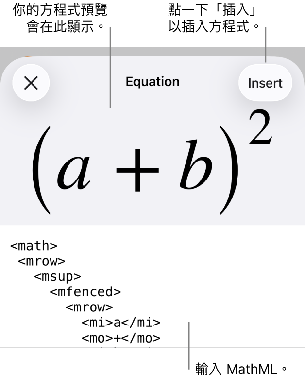 「方程式」對話框，顯示使用 MathML 指令寫入的方程式，上方是公式的預覽。