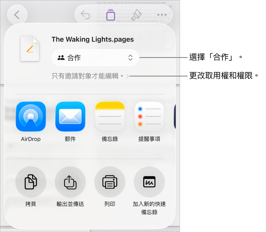 「分享」選單的最上方已選取「合作」，其下方為取用和權限設定。